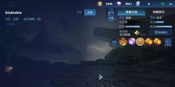 曜无双最新爆料视频,揭秘神秘英雄技能与背景故事